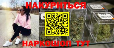 индика Аргун