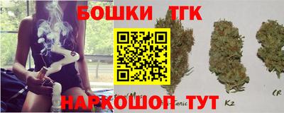 индика Аргун