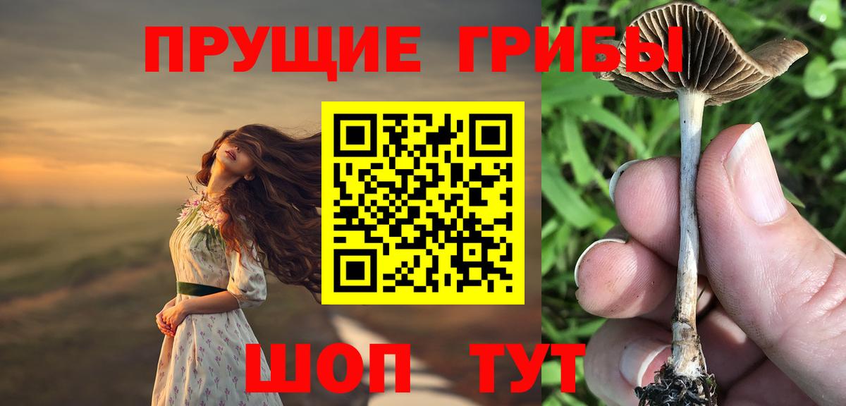 Астрахань  Галлюциногенные грибы Magic Shrooms  Вход с VPN 